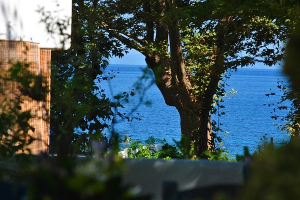 Archondissa Beach Aparthotel Терма Екстериор снимка